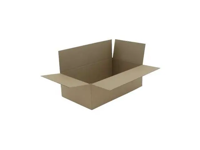 [ZW4020] Karton für Trays   55 x 32 x 18 cm