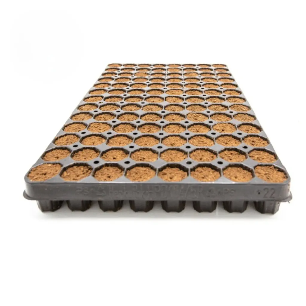 [LP1004] Planta Plug, Tray mit 104 Stk.
